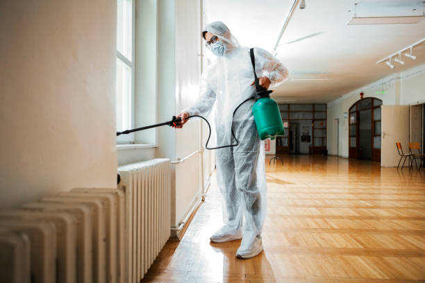 Best Pest Prevention Services  in Meadow Vista, CA